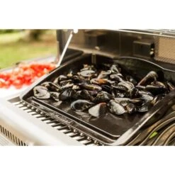 Napoleon Gusseisen-Plancha, Grillplatte -Barbecue Serien Geschäft Napoleon Gusseisen Plancha Grillplatte@@9ggzzn0s 5