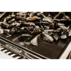 Napoleon Gusseisen-Plancha, Grillplatte -Barbecue Serien Geschäft Napoleon Gusseisen Plancha Grillplatte@@9ggzzn0s 6