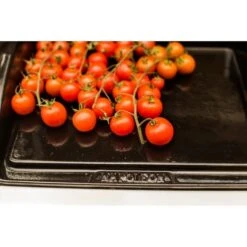 Napoleon Gusseisen-Plancha, Grillplatte -Barbecue Serien Geschäft Napoleon Gusseisen Plancha Grillplatte@@9ggzzn0s 7