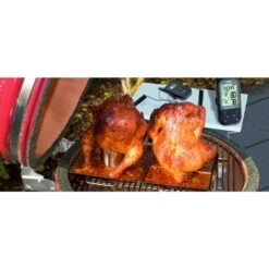 TFA Funk-Ofenthermometer Küchen-Chef Twin -Barbecue Serien Geschäft TFA Funk Ofenthermometer K chen Chef Twin@@1836964 4