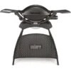 Weber Gasgrill Q 2000 Stand Black