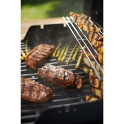 Weber Gasgrill Spirit E-215 GBS Black 21 Weber Gasgrill Spirit E-215 GBS Black -Barbecue Serien Geschäft Weber Gasgrill Spirit E 215 GBS Black@@1694187 11