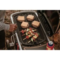Weber Gasgrill Traveler Black -Barbecue Serien Geschäft Weber Gasgrill Traveler Black@@1694181 10
