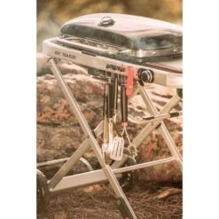 Weber Gasgrill Traveler Black -Barbecue Serien Geschäft Weber Gasgrill Traveler Black@@1694181 17