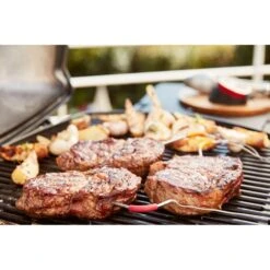 Weber IGrill Pro Messfühler Für Grillgut, Thermometer -Barbecue Serien Geschäft Weber iGrill Pro Messf hler f r Grillgut Thermometer@@1303168 13