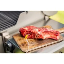 Weber IGrill Pro Messfühler Für Grillgut, Thermometer -Barbecue Serien Geschäft Weber iGrill Pro Messf hler f r Grillgut Thermometer@@1303168 8